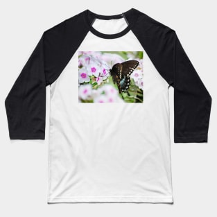 Phlox & Butterfly Baseball T-Shirt